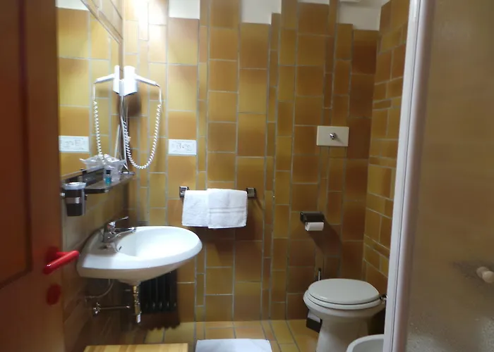Отель Hotel Corona Бранци